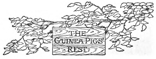 Guinea Pigs' Rest'