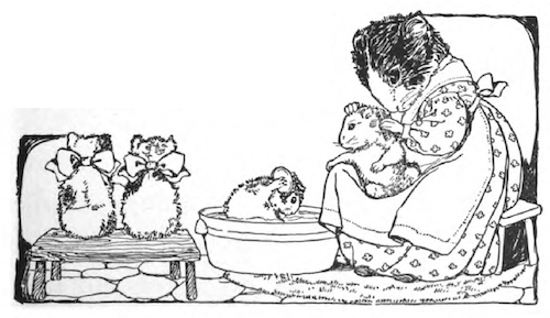 Mrs. Guinea Pig washing babies