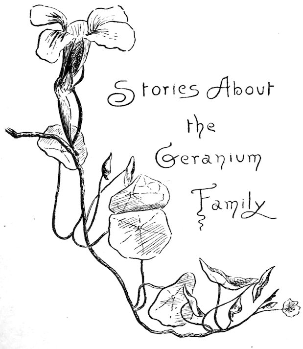 Stories About the Geranium Family