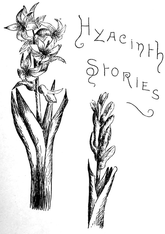 Hyacinth Stories