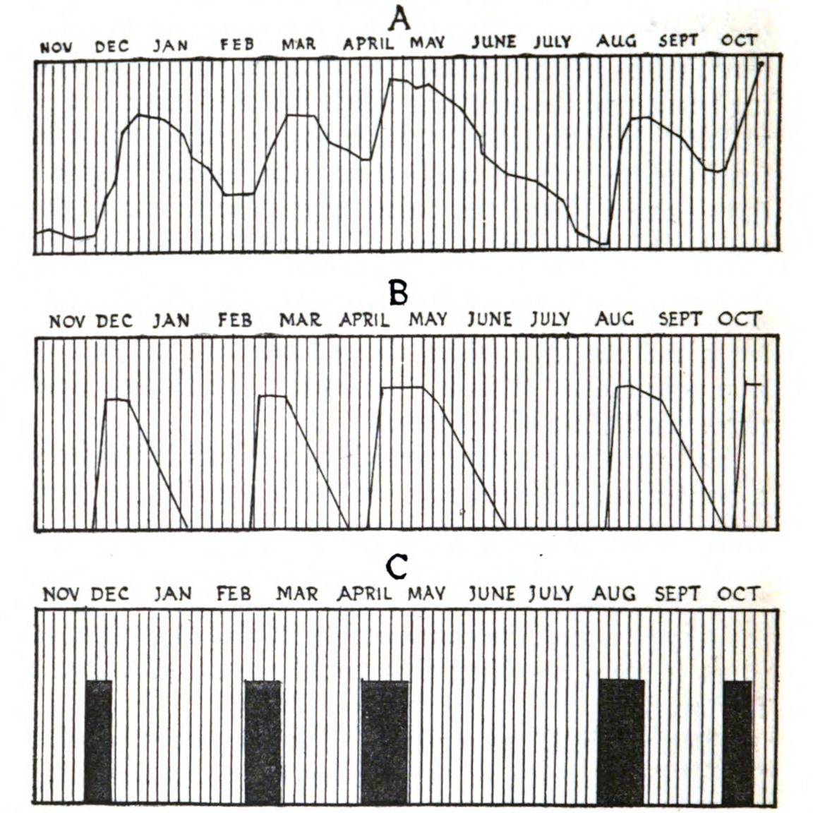 Three charts, labelled     “A,” “B,” and “C,” each marked horizontally with the names of     months. Charts A and B are line graphs, while Chart C marks off     certain periods of time with solid blocks. Each chart shows five     peaks occurring at the same points in time.