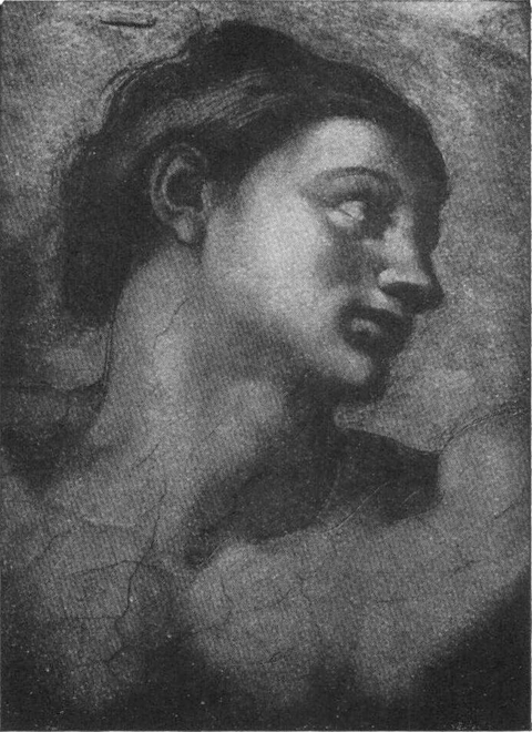 Adams Kopf von Michelangelo