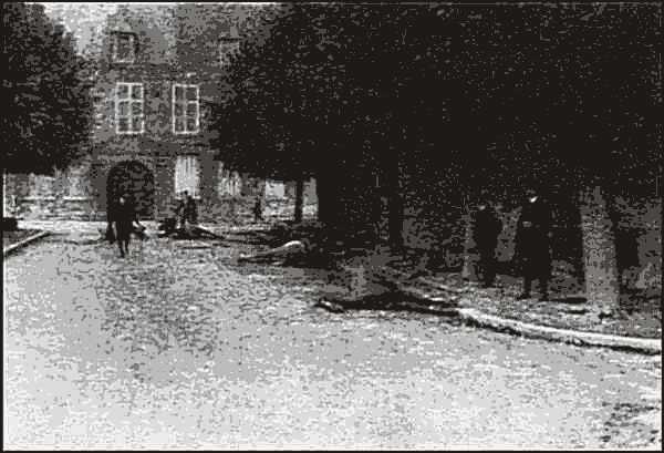 Photograph of the dead horses in the<br> Place de l’Hotel-de-Ville in 1914.