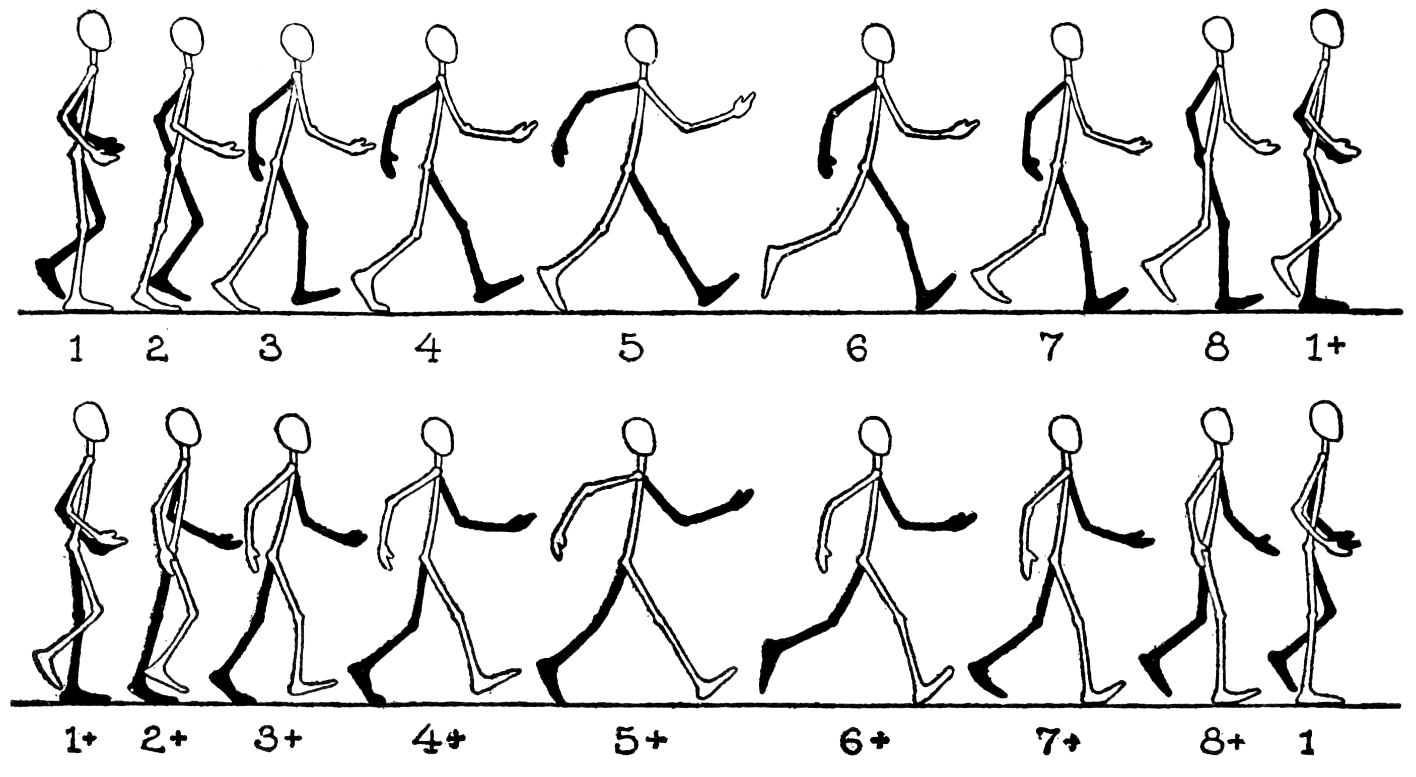 Бег анимация схема. Схематическое изображение человека в движении. Человек бежит референс сбоку. Раскадровка движения человека. Человек в движении рисунок.