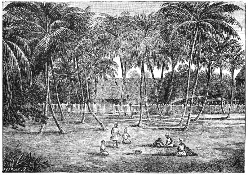 A mission house with people outside by palm trees.