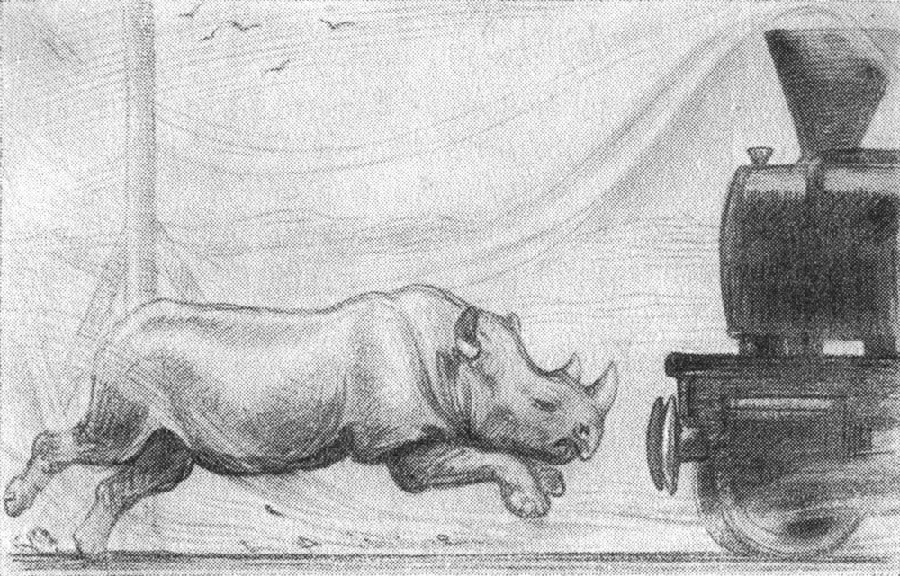 Ein Nashorn rennt gegen eine Lokomotive an