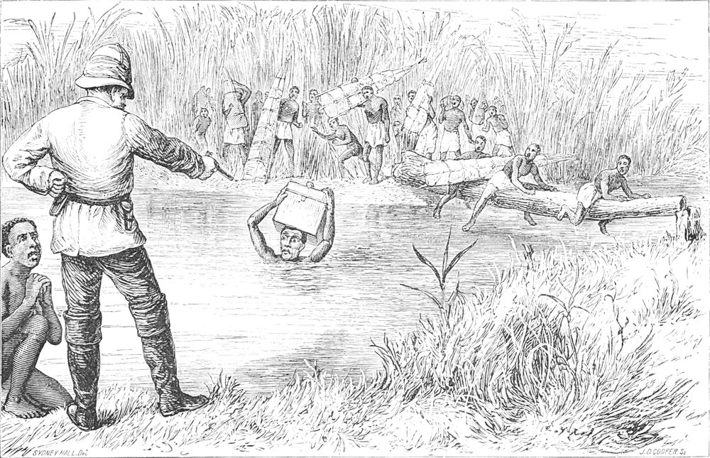 Livingstones   Aufzeichnungen in Gefahr