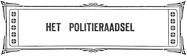 HET POLITIERAADSEL