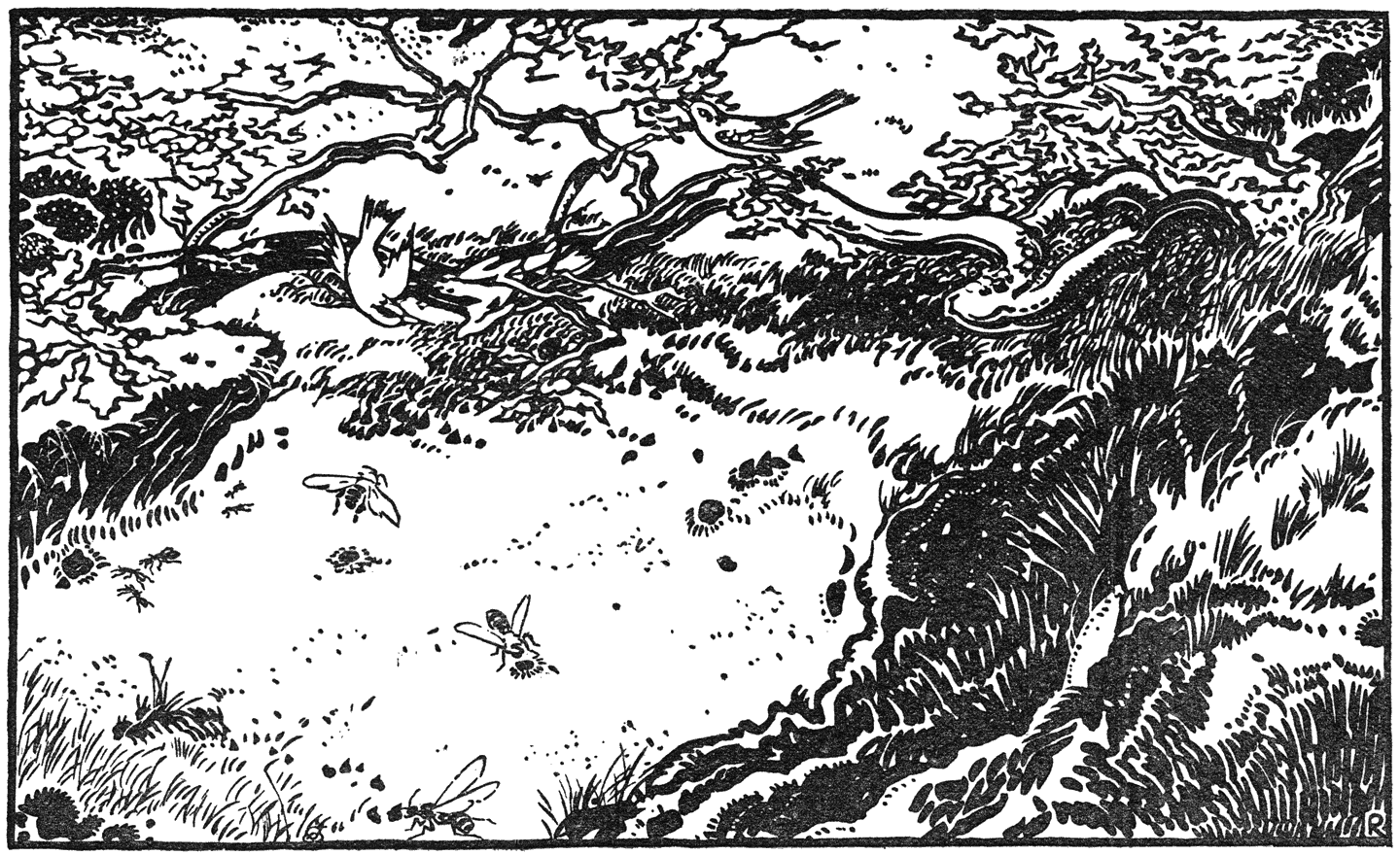 DWARS DOOR ’T EILAND