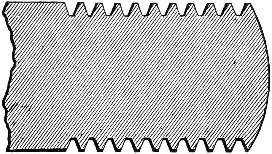 Sellers standard thread