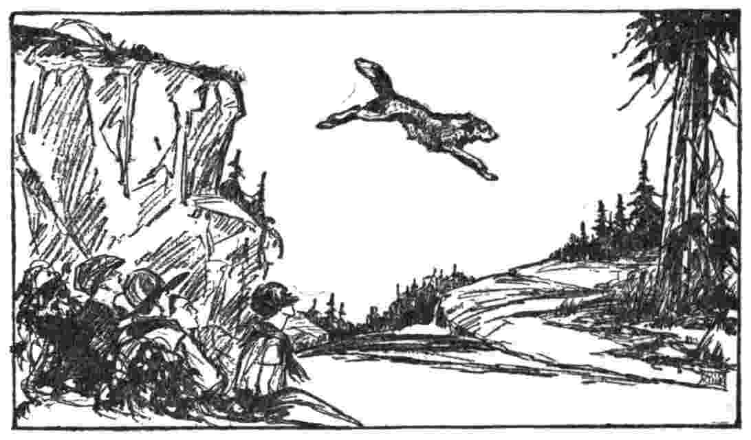 animal diving from cliff to river