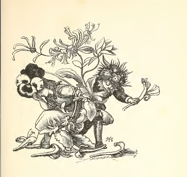 Heartease in my garden bed