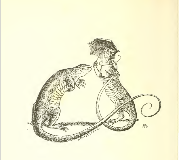 When fishes set umbrellas up