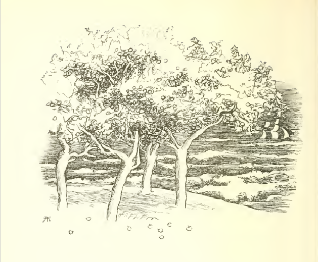 The wind has such a rainy sound