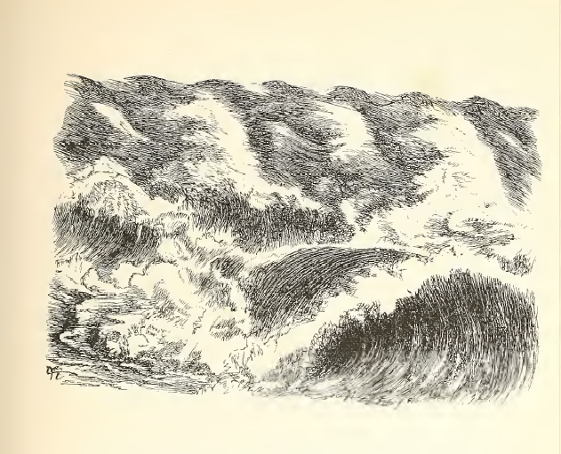 The horses of the sea