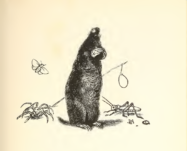 Hurt no living thing