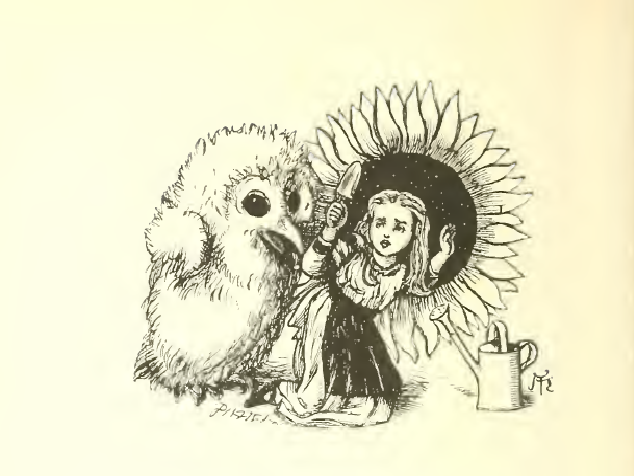 I dreamt I caught a little owl