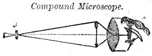Compound Microscope.