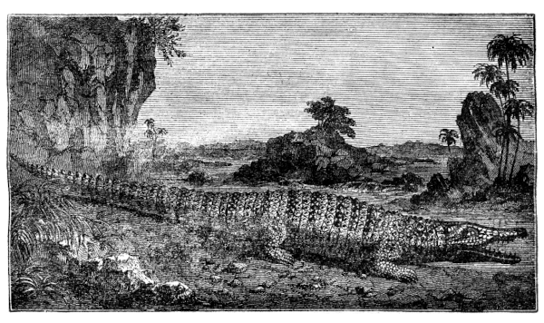 A crocodile in a tropical landscape.