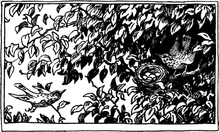 Volgelpaar mit einem Nest in den   Zweigen