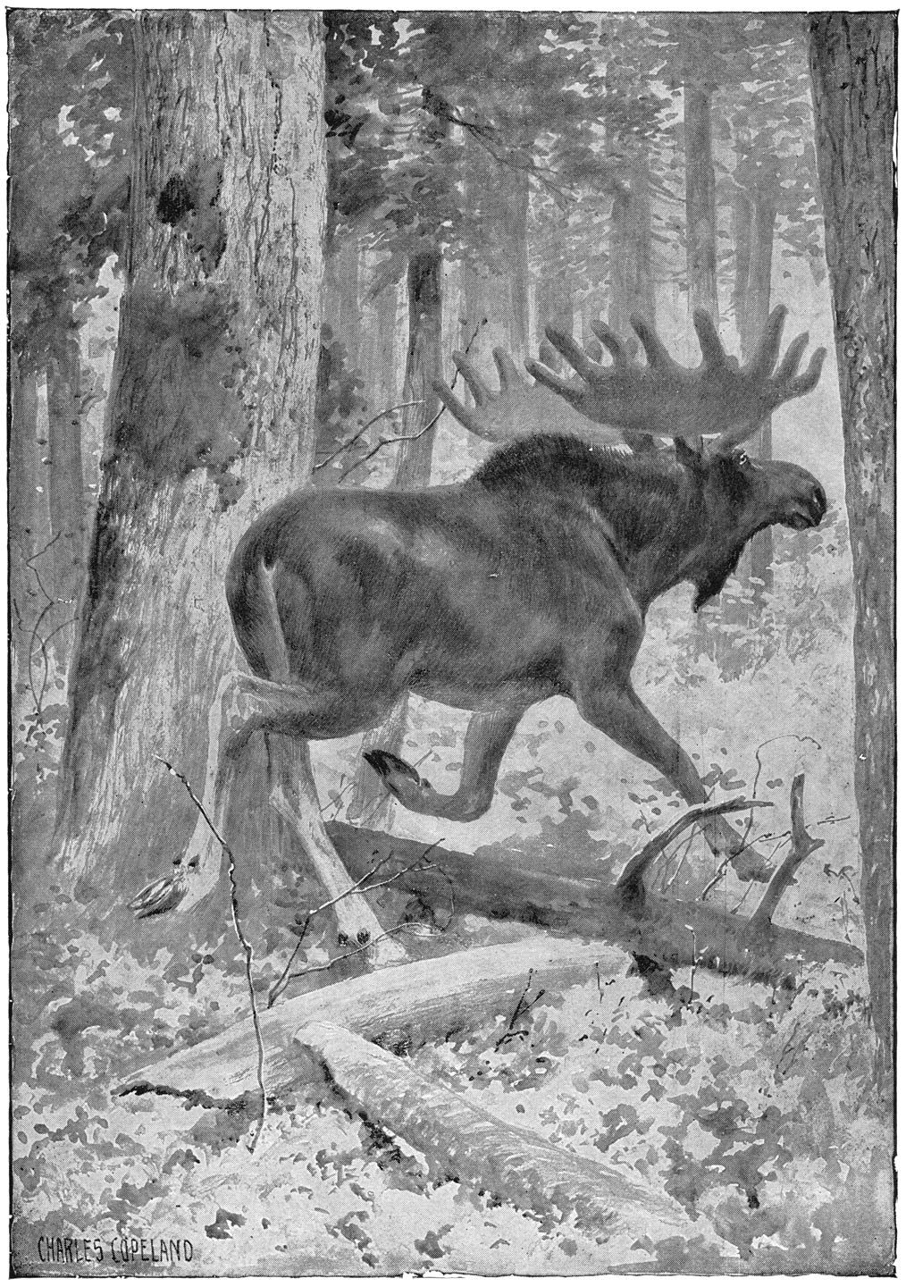 ... en ging er met een geweldige vaart van door... bl. 25 VIII