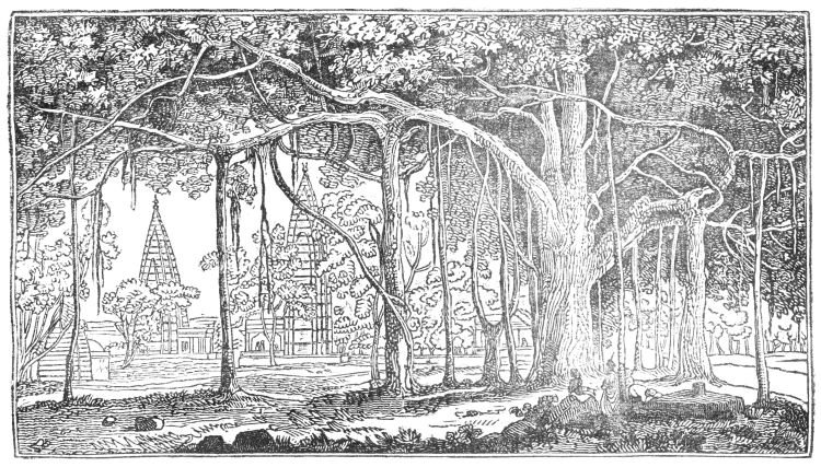 A Banyan tree, with multiple stems, forms a small grove; in the background are elaborate pagodas.