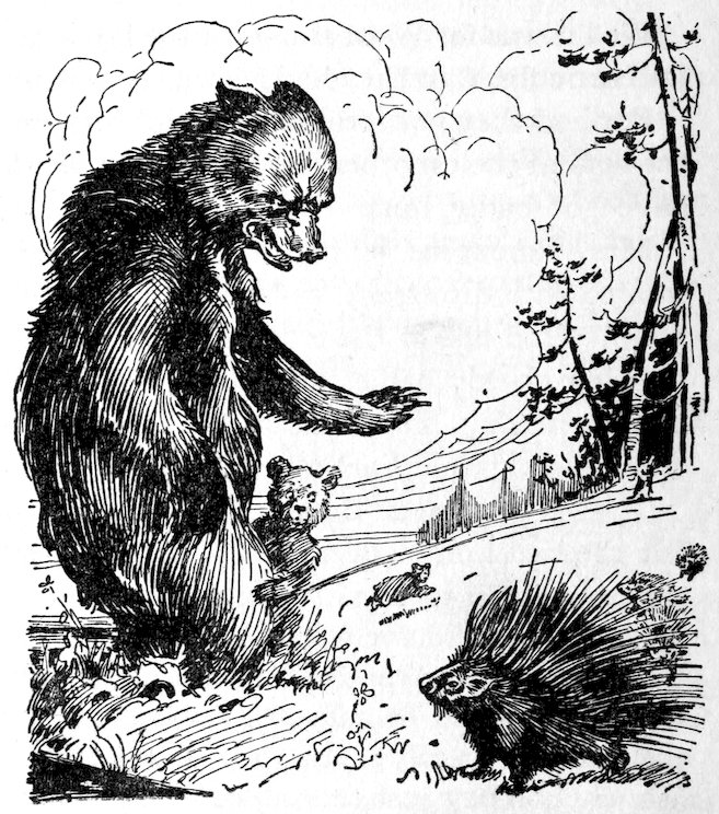 [Bears & porcupine]