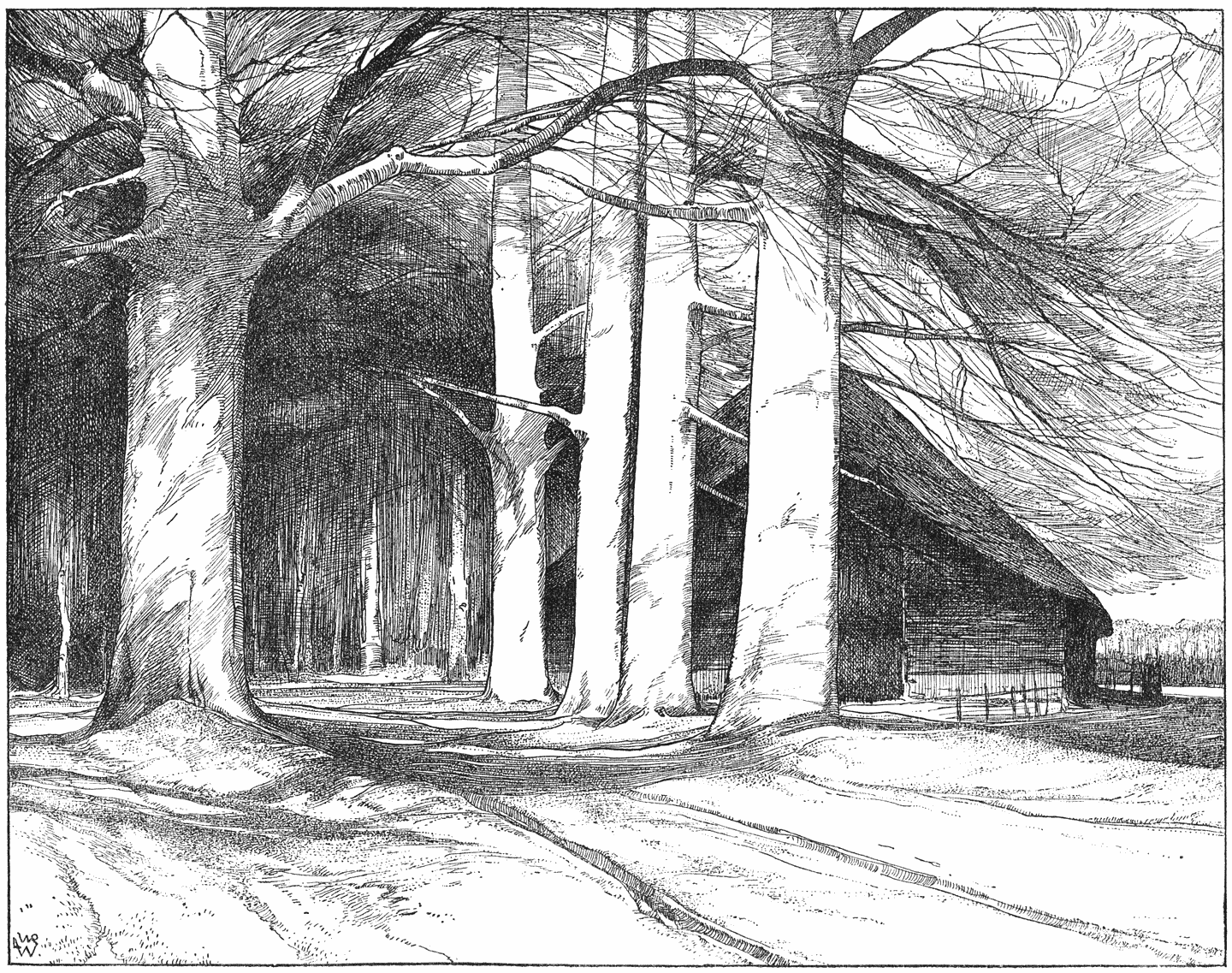 Beukenlaan aan de Bilt.