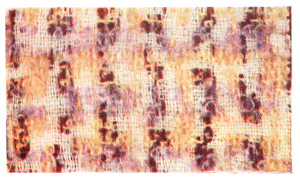 Compound Weave Worsted