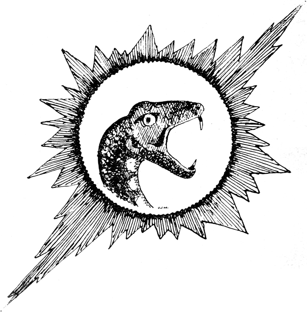 Giftschlange mit drohend   aufgesperrtem Maul