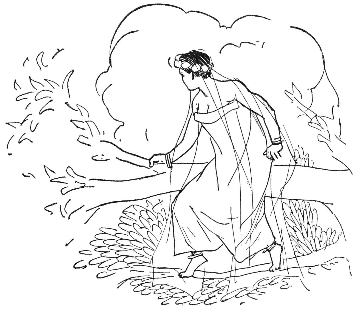 Sometimes she had to creep over fallen trees