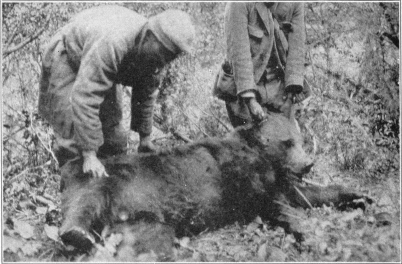 Two men with a dead bear. One man is holding up the bear's head by its ears.