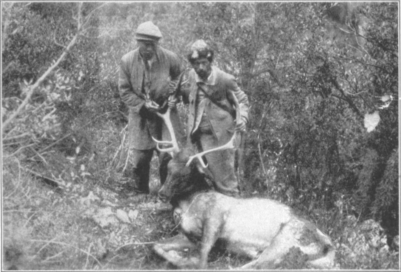 Two men in a forest, holding up a dead animals head by the antlers.