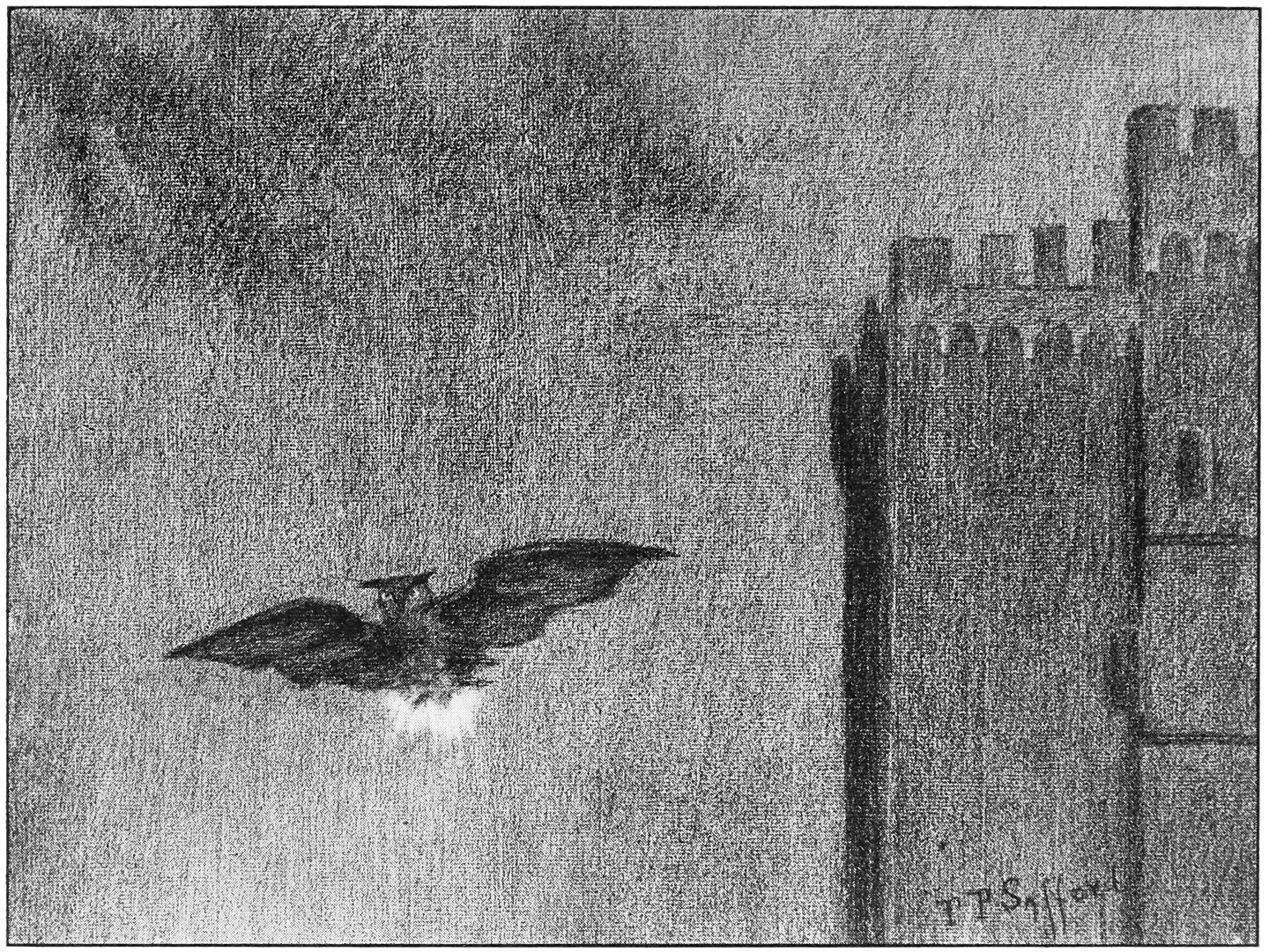 “The young owl, in his flight, looked like a wonderful shining constellation.”