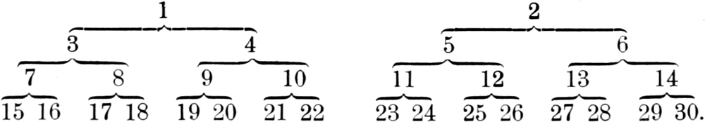 Stammbäume der Teilung nach Bild 31