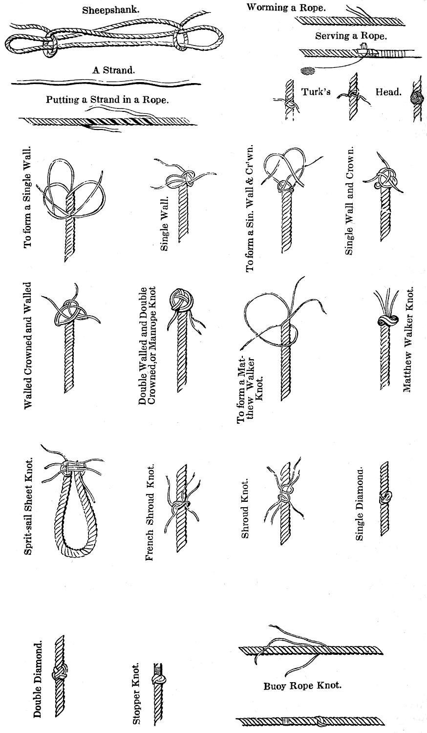 Various knots and hitches