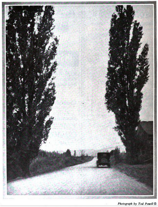 [Photo of car on country road. Landscape occupies bottom quarter of frame. Flat road extends from foreground straight into background and towards foothills. One tall, narrow tree is on each side of road, framing the sides and extending to the top of the frame. Car is on right side of road. A part of a building is shown to the right of the car, about five yards off the road, and is partially obscured by the tree. Photo is copyrighted by “Tod Powell.”]