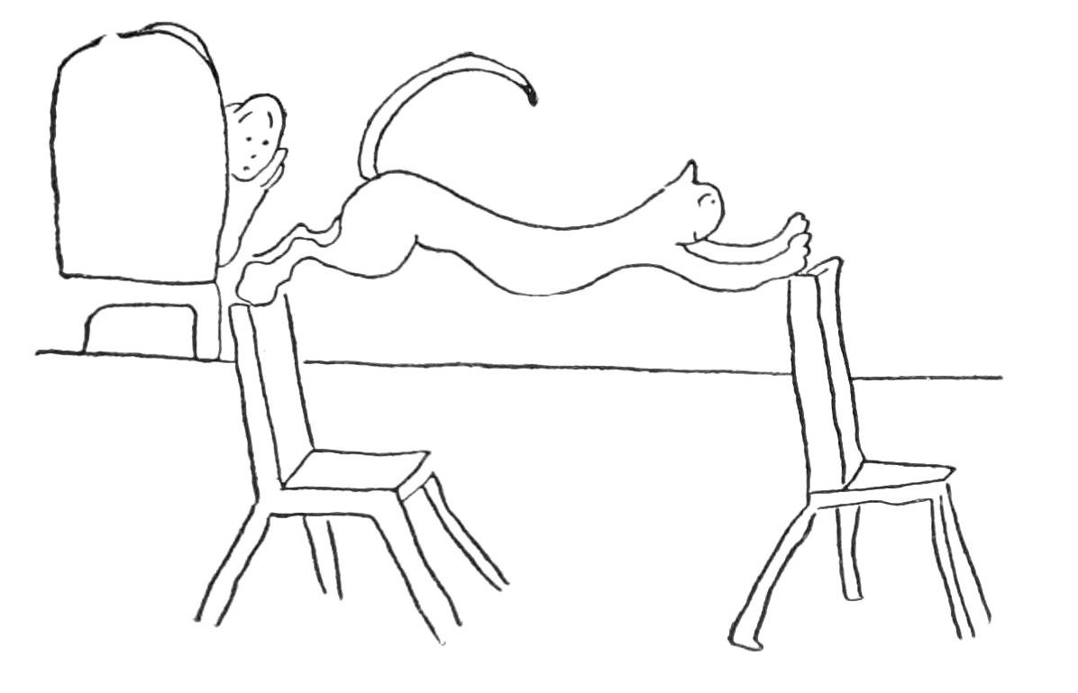 Sketch of cat jumping between two chair backs, man looks in from door behind.