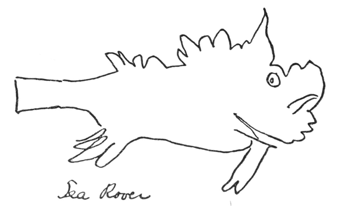 Very rough sketch of a fish, labled 'Sea Rover'