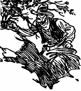 cowboy hiding in bushes