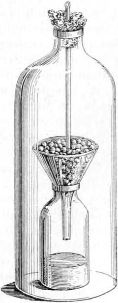 Nachweis der Wärmeentwicklung bei   der Keimung
