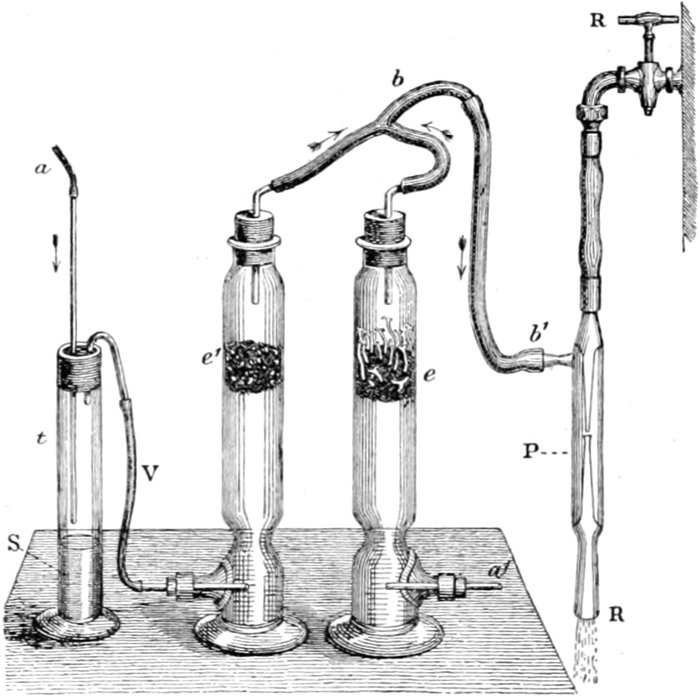 Narkotisierte Pflanzensamen