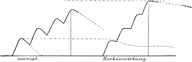 Die scheinbare   Erregbarkeitssteigerung
