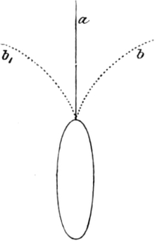 Geißel einer Infusorienzelle