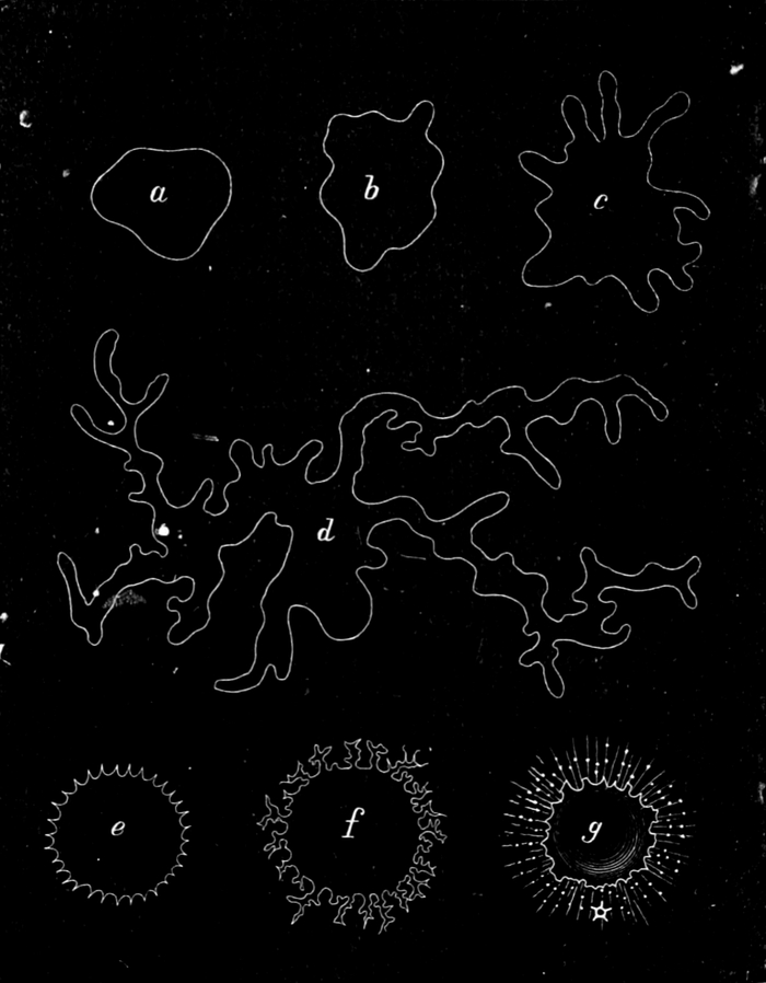 Öltröpfchen in alkalischer   Flüssigkeit