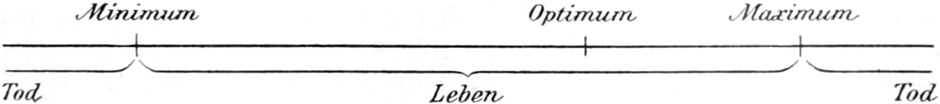 Optimum der Lebensbedingungen