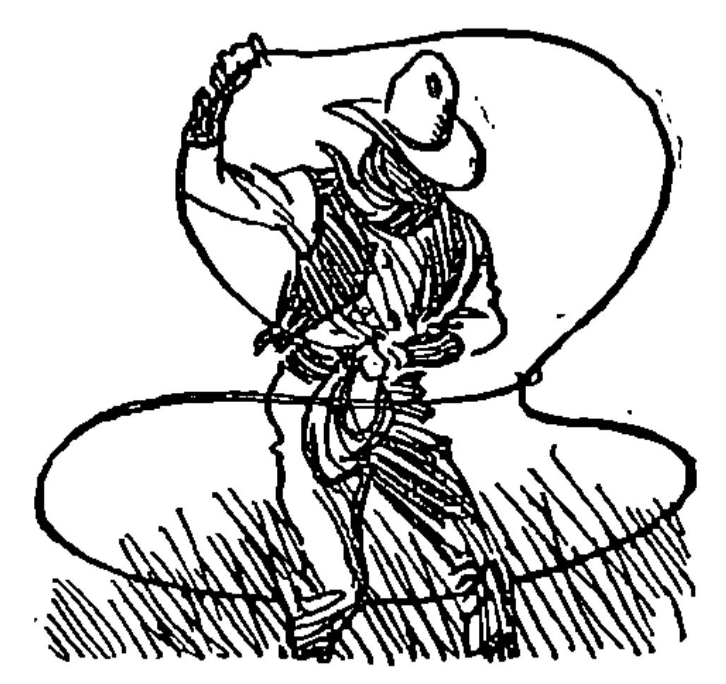 cowboy with a trick rope