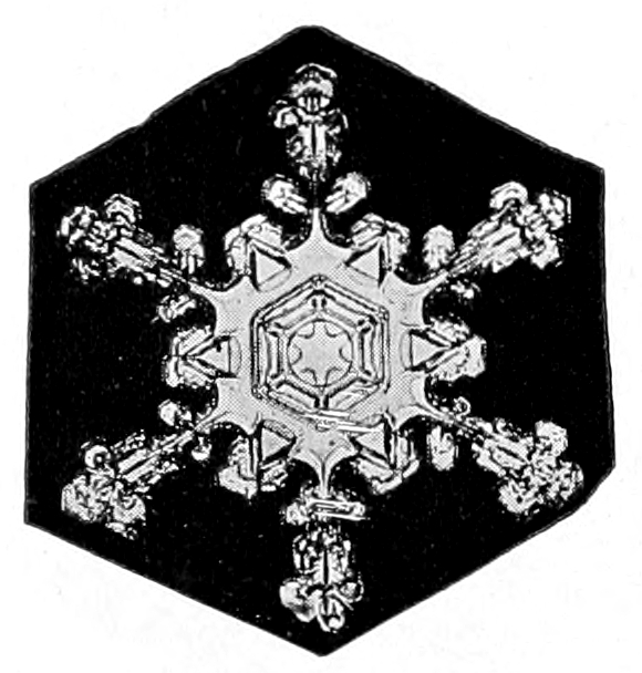 Snow crystal