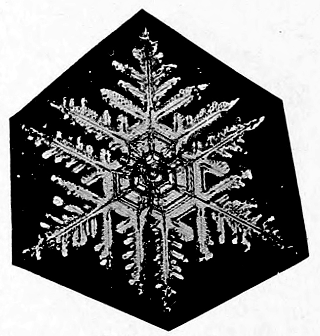 Snow crystal