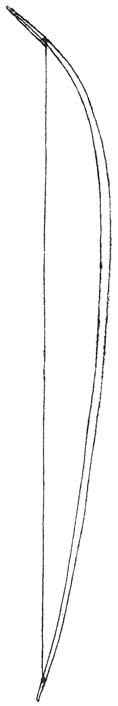 Fig. 14. Toy bow of the North Andaman